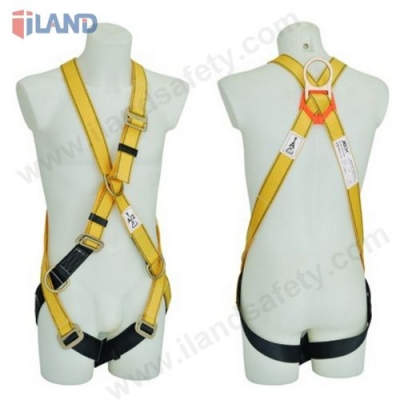 Full Body Harness