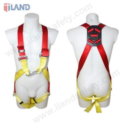 Full Body Harness