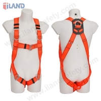 Full-body Harness