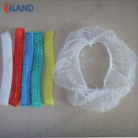 Hairnet, 1 Elastic Strap